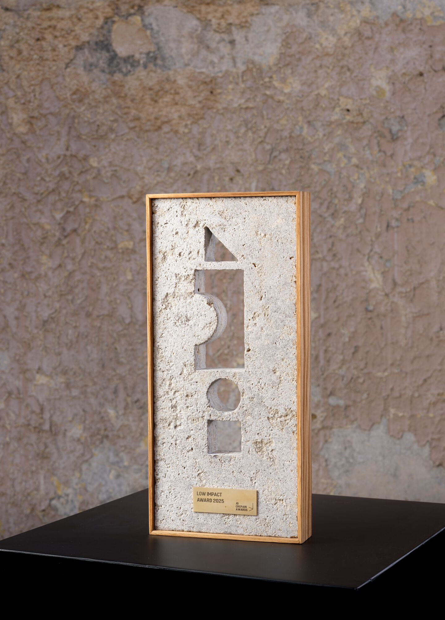 Conrad Willems Jo Crepain award 25 11 Cedric Verhelst