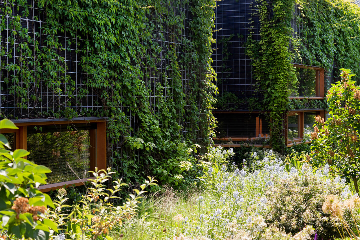 Groenewoningen2