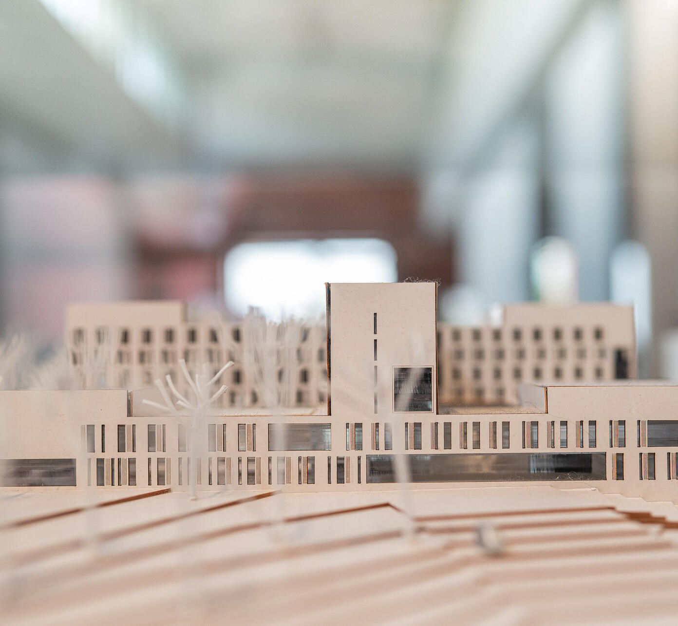 54105224224 f375fca9c2 k