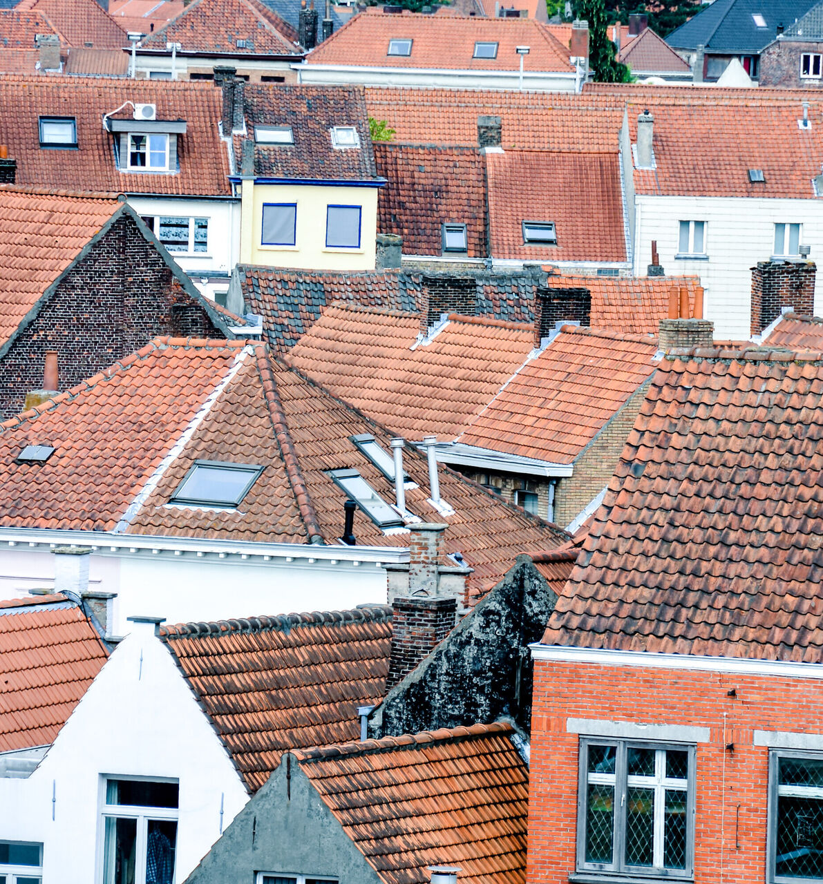 Brugge daken