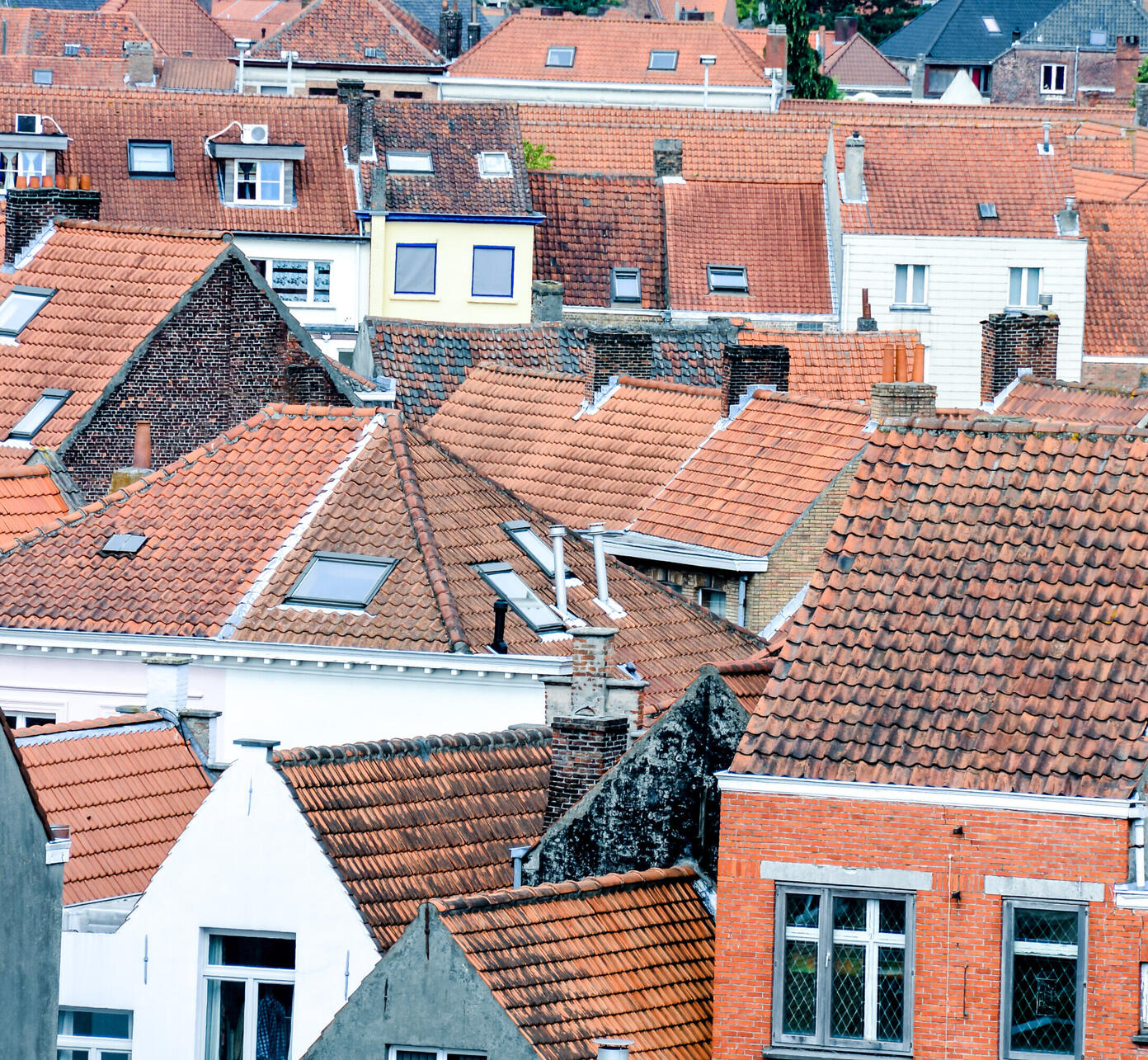 Brugge daken