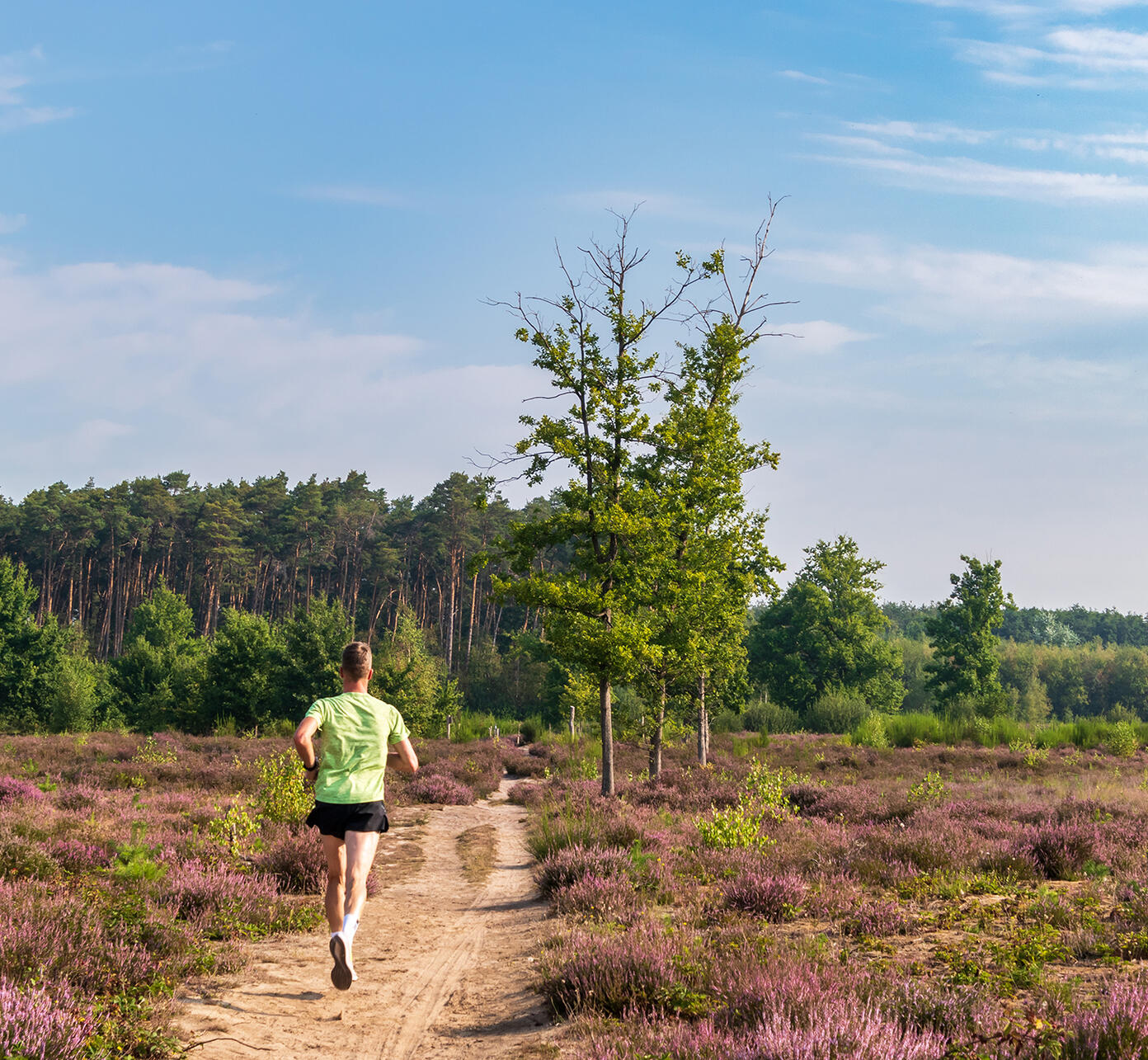 Natuur Tina Vander Molen Shutterstock smaller