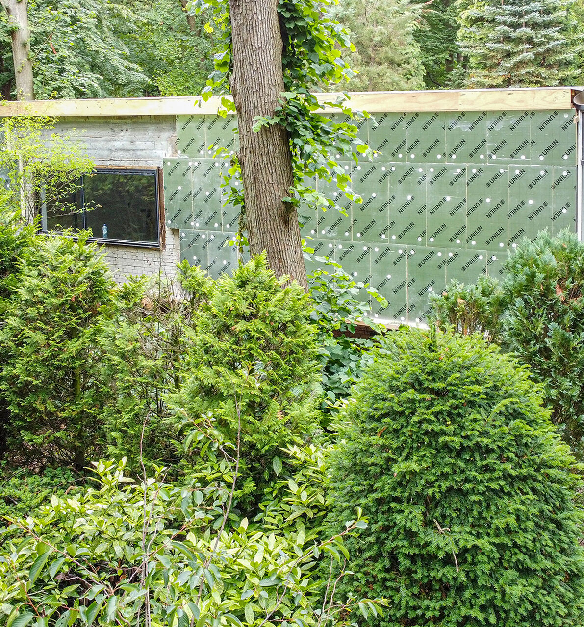 Bungalow1